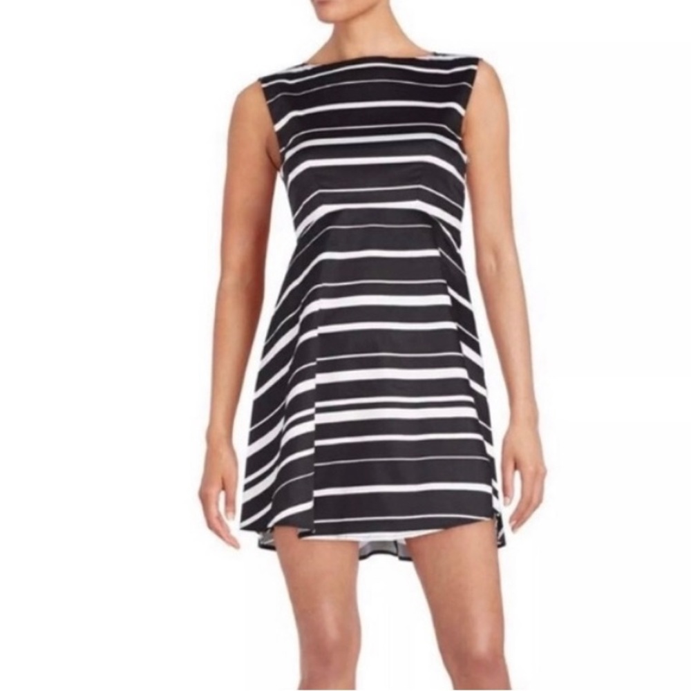 Striped Black and White Fit and Flare Dress